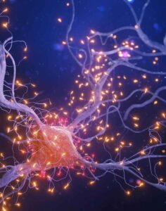 Neuroinflammation Treatment